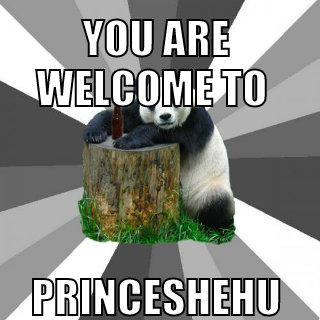 You are welcome to